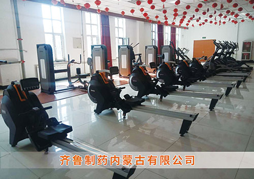 8455新葡萄娱乐官网版为​齐鲁制药内蒙古分公司打造健身房